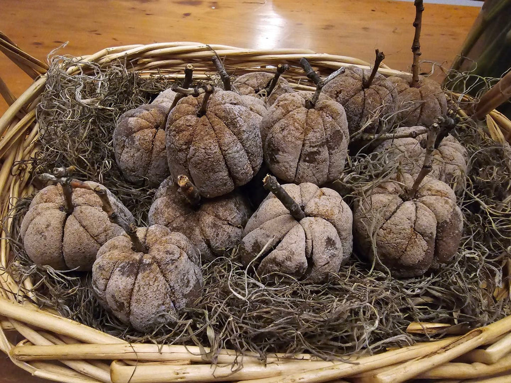 Primitive Apple Paste Pumpkin