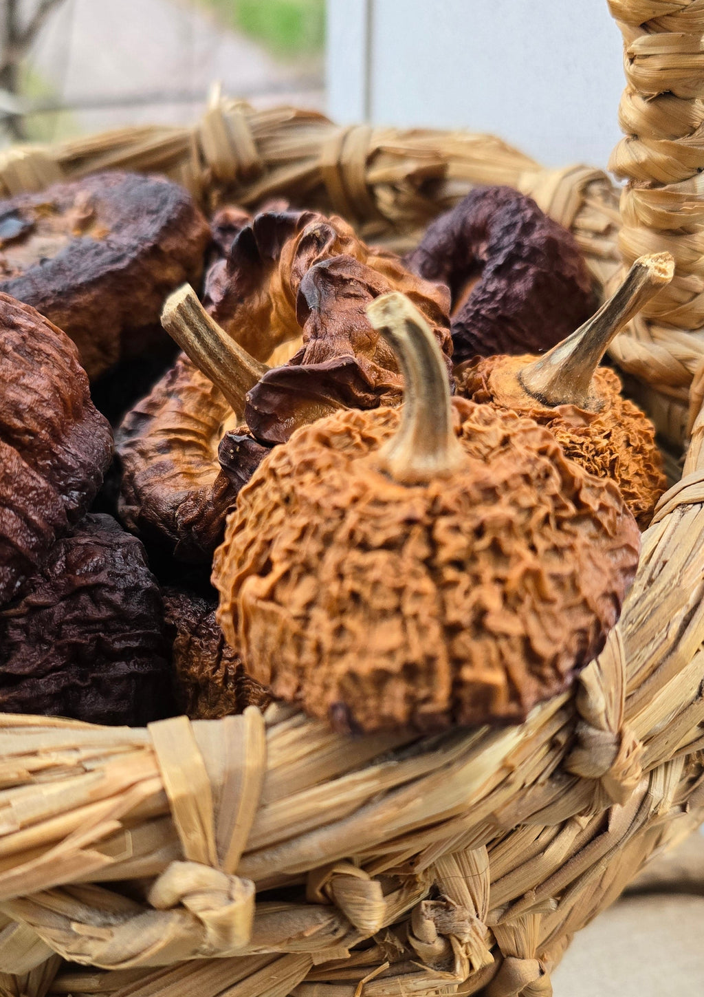 Seasoned Cured Mini Dry Gourds