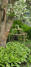 Victorian Wire Demi Lune Tiered Plant Stand