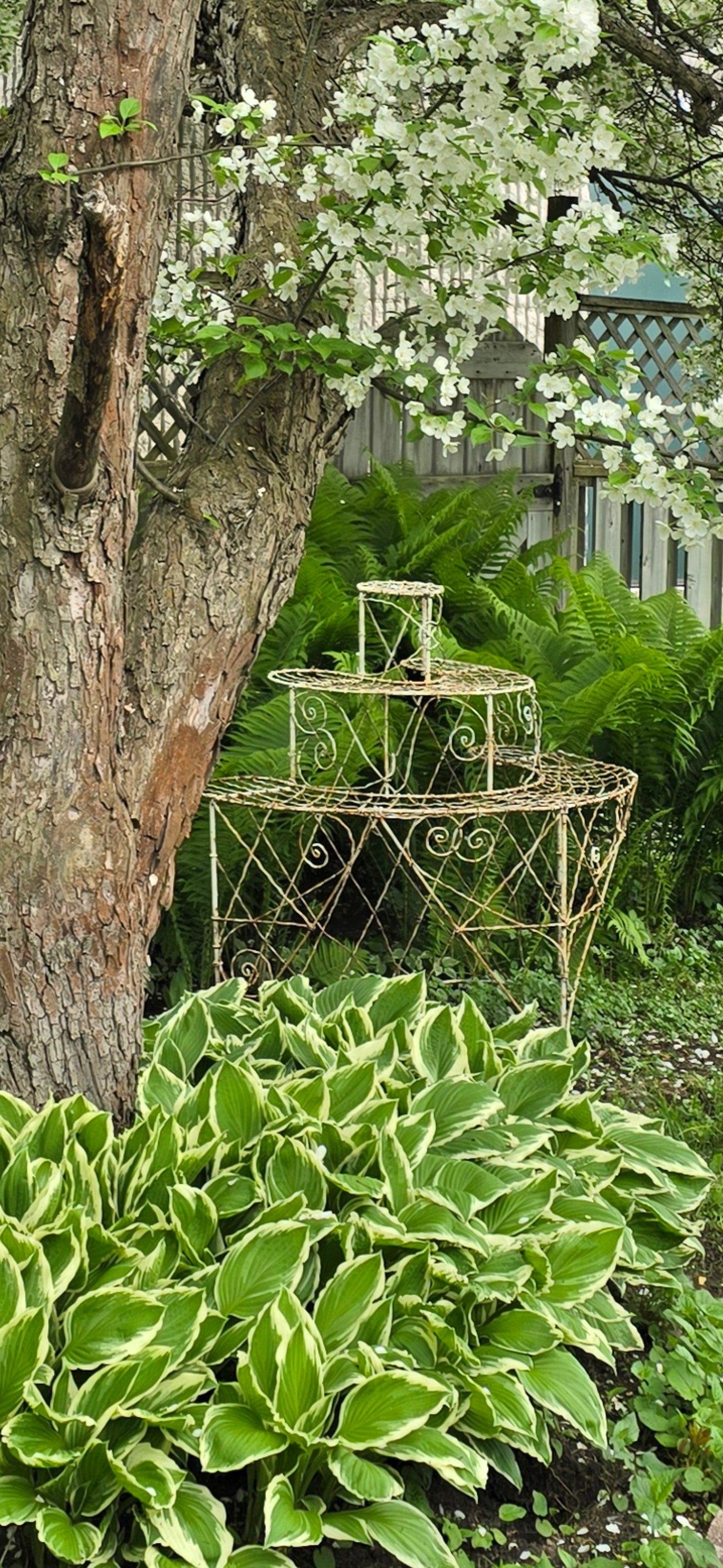 Victorian Wire Demi Lune Tiered Plant Stand