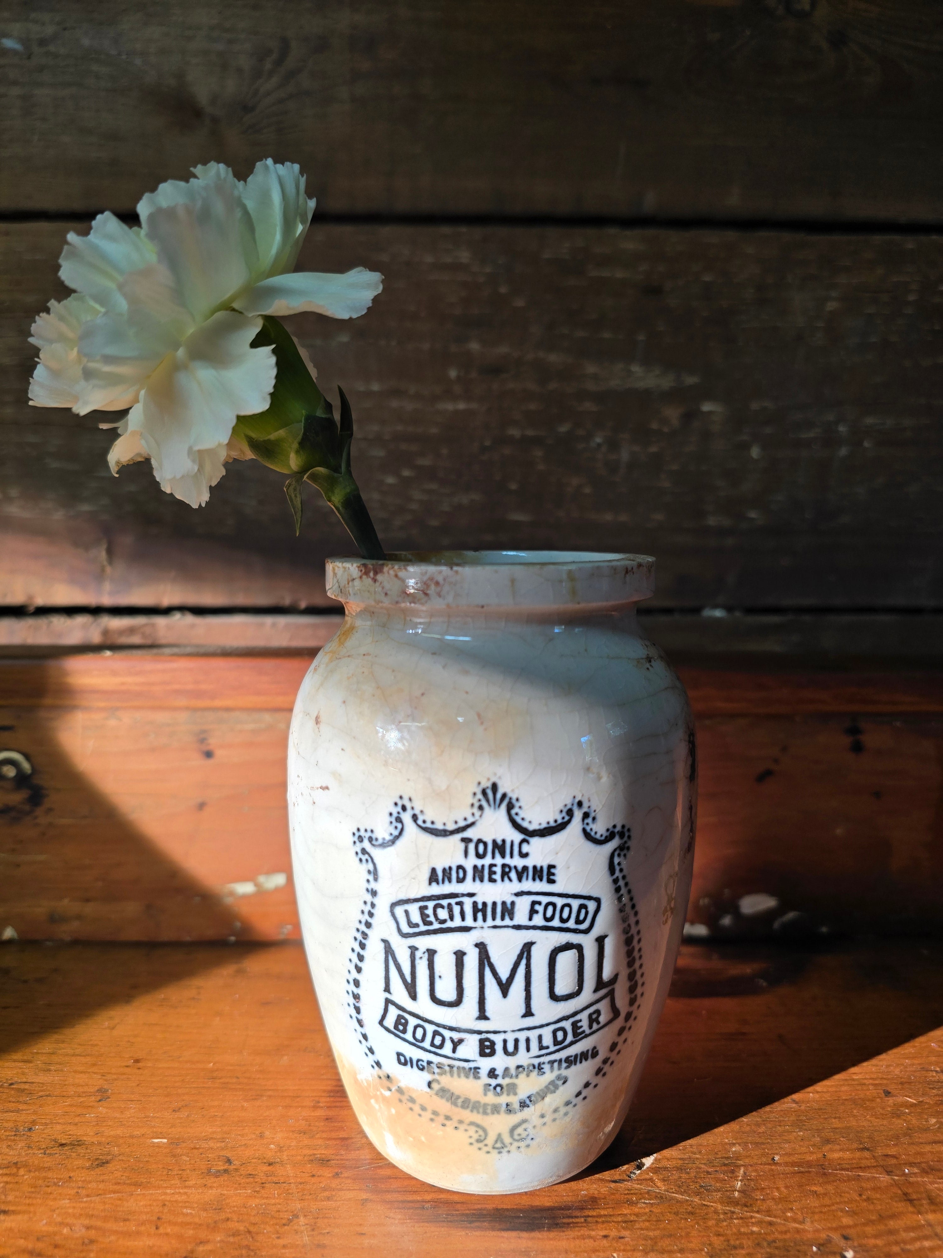 NuMol Body Builder Stoneware