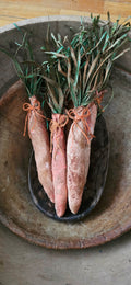 Prim-Grunge Carrots