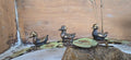 Metal Brass Ducklings