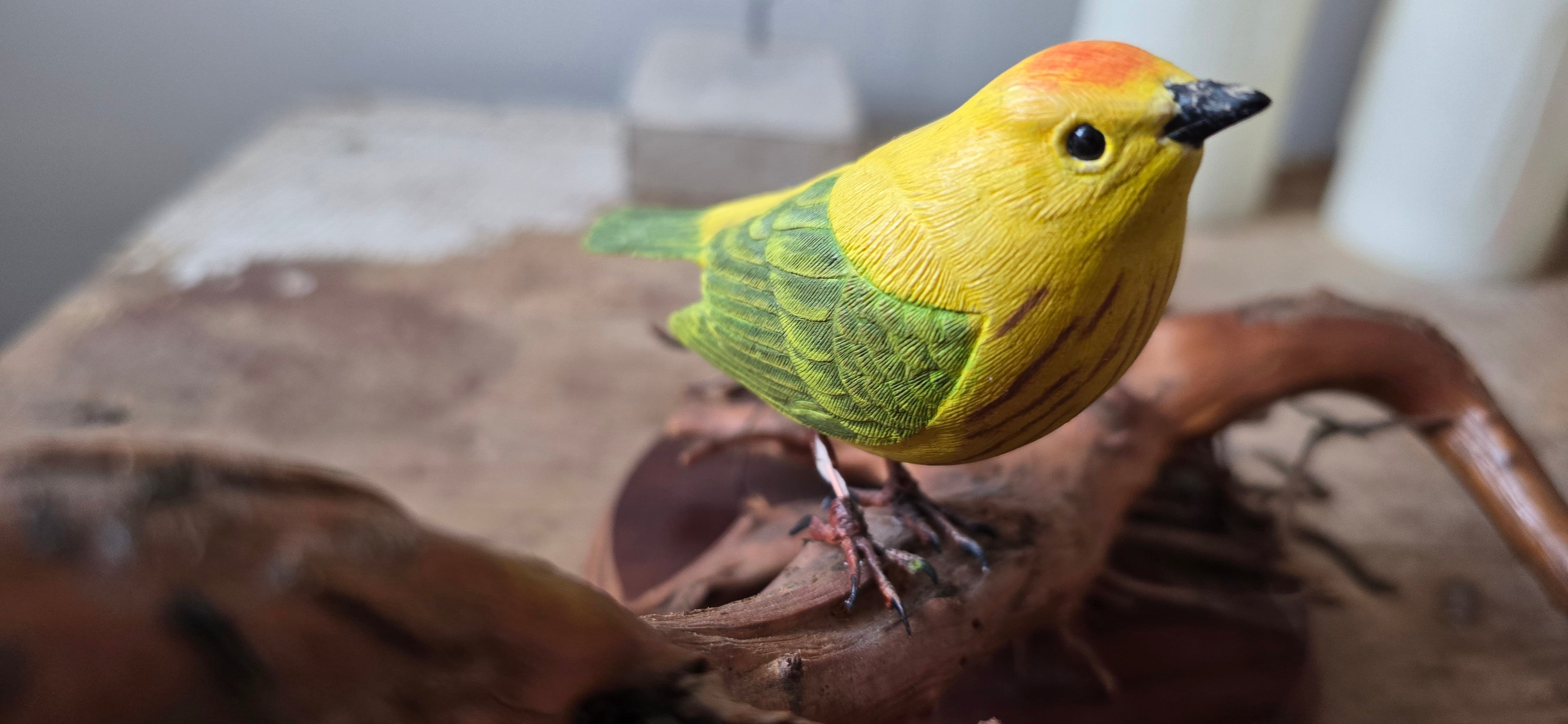 Folk Art Budgie