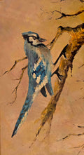 Blue Jay Oil Painting