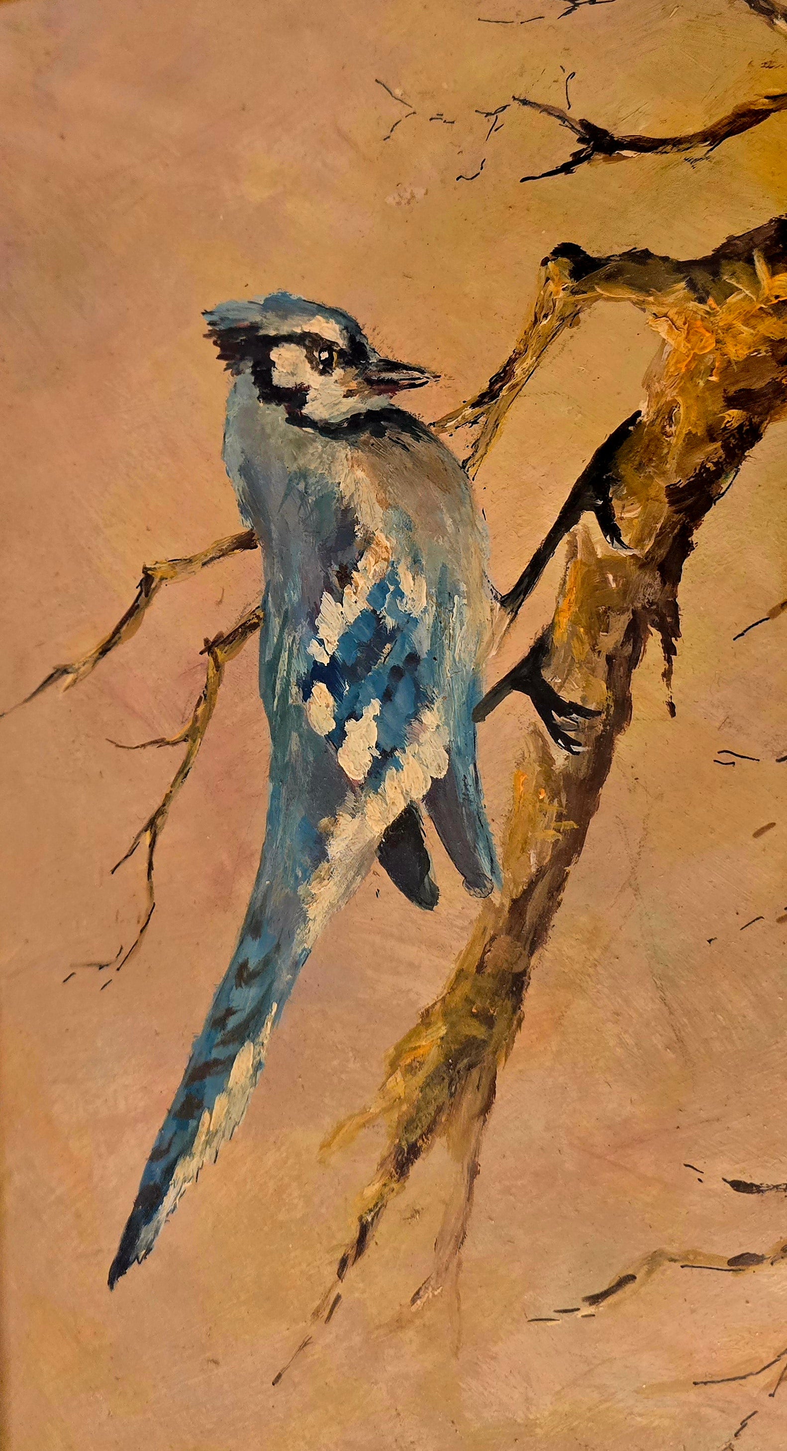 Blue Jay Oil Painting