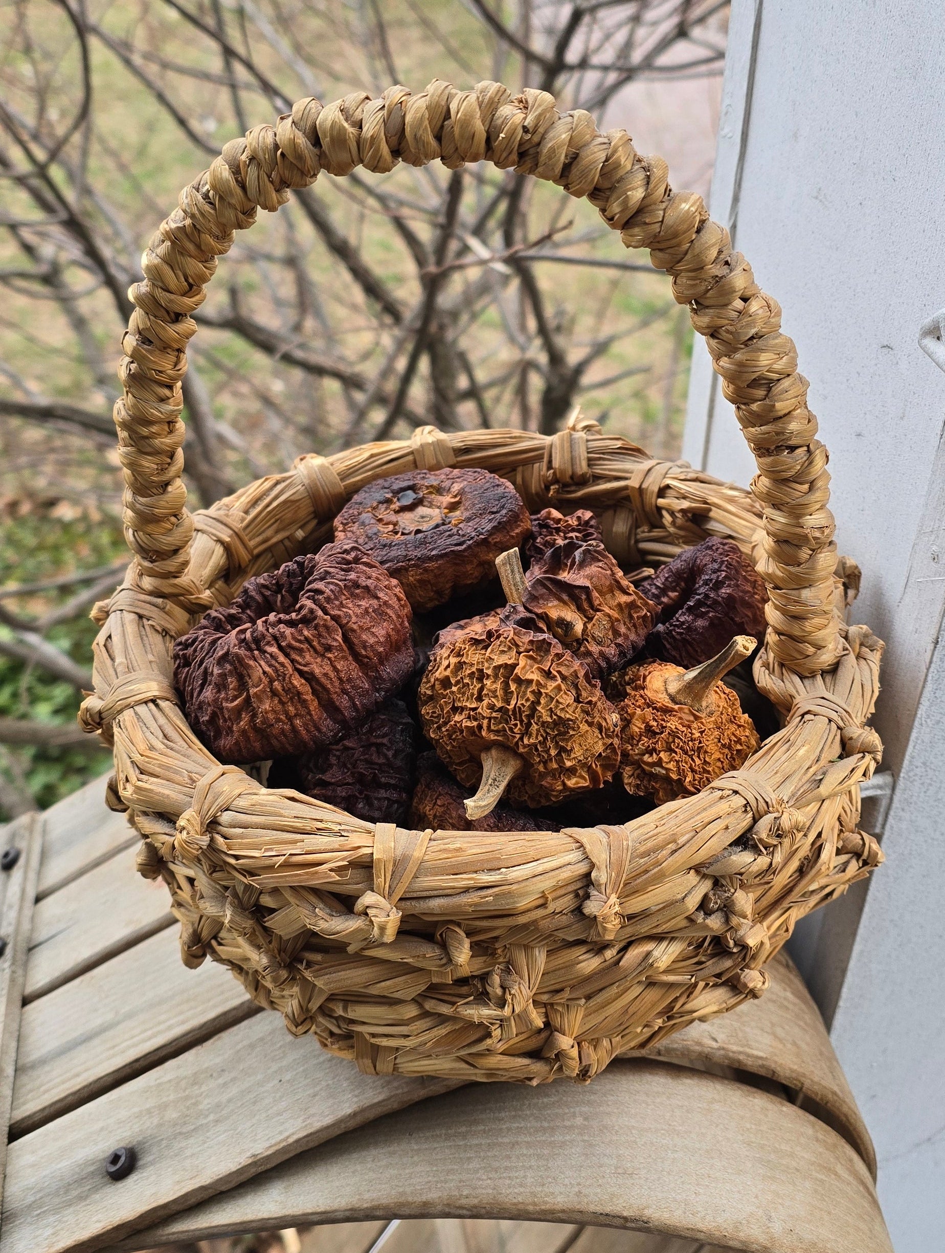 Seasoned Cured Mini Dry Gourds